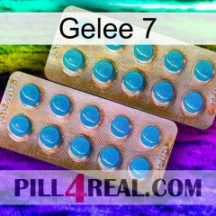 Jelly 7 new08